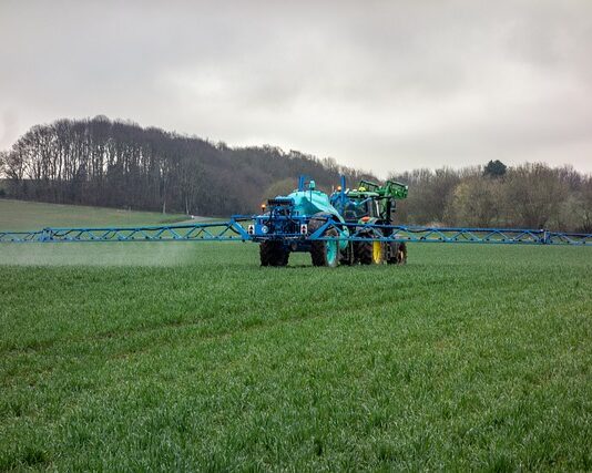 Czy po wertykulacji można nawozić?