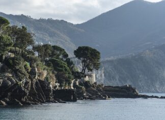 Ile kosztuje wynajęcie samochodu w Dubaju? Ile kosztuje wynajęcie samochodu w Dubaju?