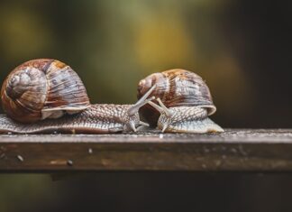 Czy da się naprawić czujnik parkowania?