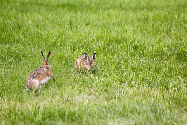 Jak wysuszyć lampę? Jak wysuszyć lampę?