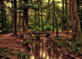 Jak wyczyścić przednie lampy?