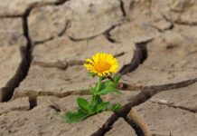 Na jakim kolorze najmniej widać brud?