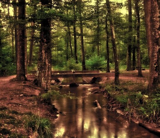 Jak wymienić przednią lampę?