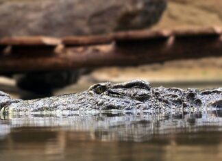 Jakie są 3 podstawowe zasady dobrego oświetlenia? Jakie są 3 podstawowe zasady dobrego oświetlenia?