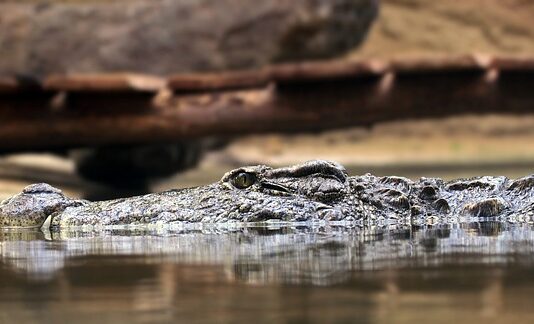 Jakie są 3 podstawowe zasady dobrego oświetlenia? Jakie są 3 podstawowe zasady dobrego oświetlenia?