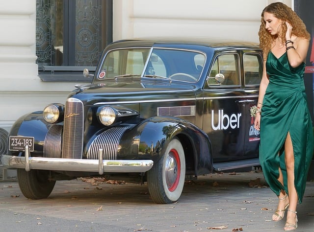 Jak wykorzystać opadłe liście? Jak wykorzystać opadłe liście?