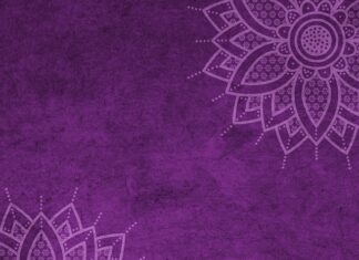 Czy można dostać mandat za brak oświetlenia tablicy rejestracyjnej?