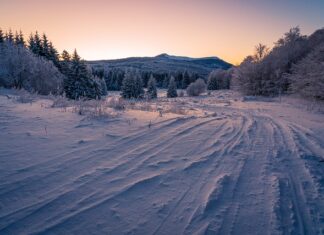 Czy opona 205 wejdzie na 195?