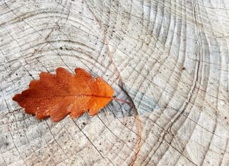 Które Pierścienie centrujące są lepsze plastikowe czy aluminiowe?