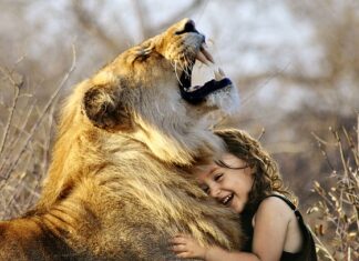 Jaka jest najlepsza Terenowka?