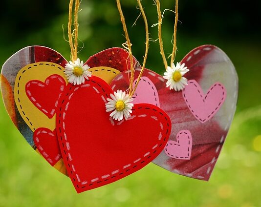 Jak sprawdzić który to przewód ochronny?