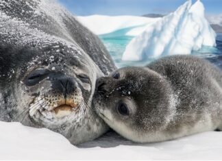 Ile kosztuje uszczelnienie lampy samochodowej?