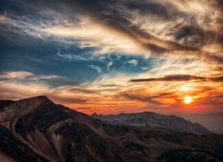 W jakich godzinach pieje kogut?