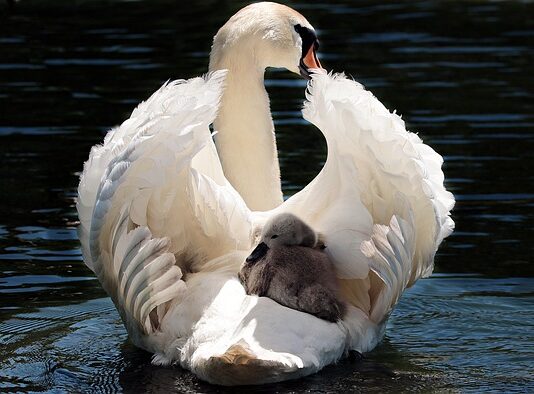 Co za 20 tys na taxi?