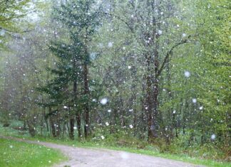 Dlaczego Taśma LED słabo świeci?